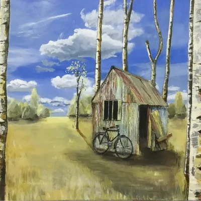 Bike Shed