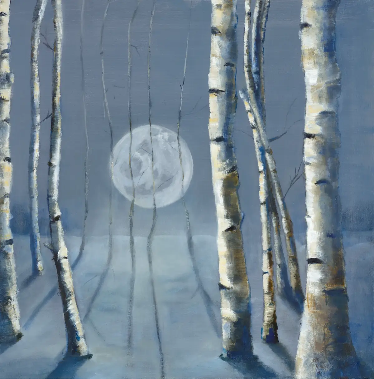 Moonlight Birch