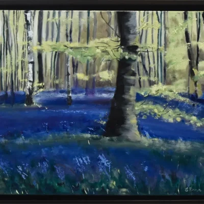 Indigo Woods