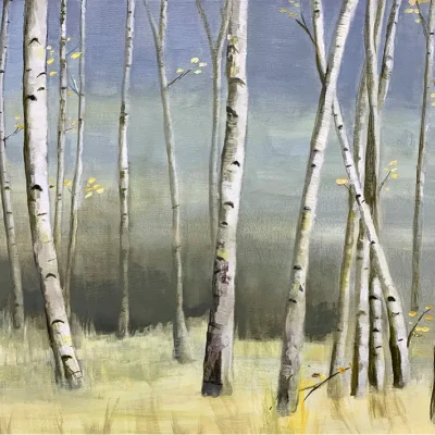 Silver Birch Dawn