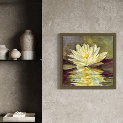 Wild Water Lily