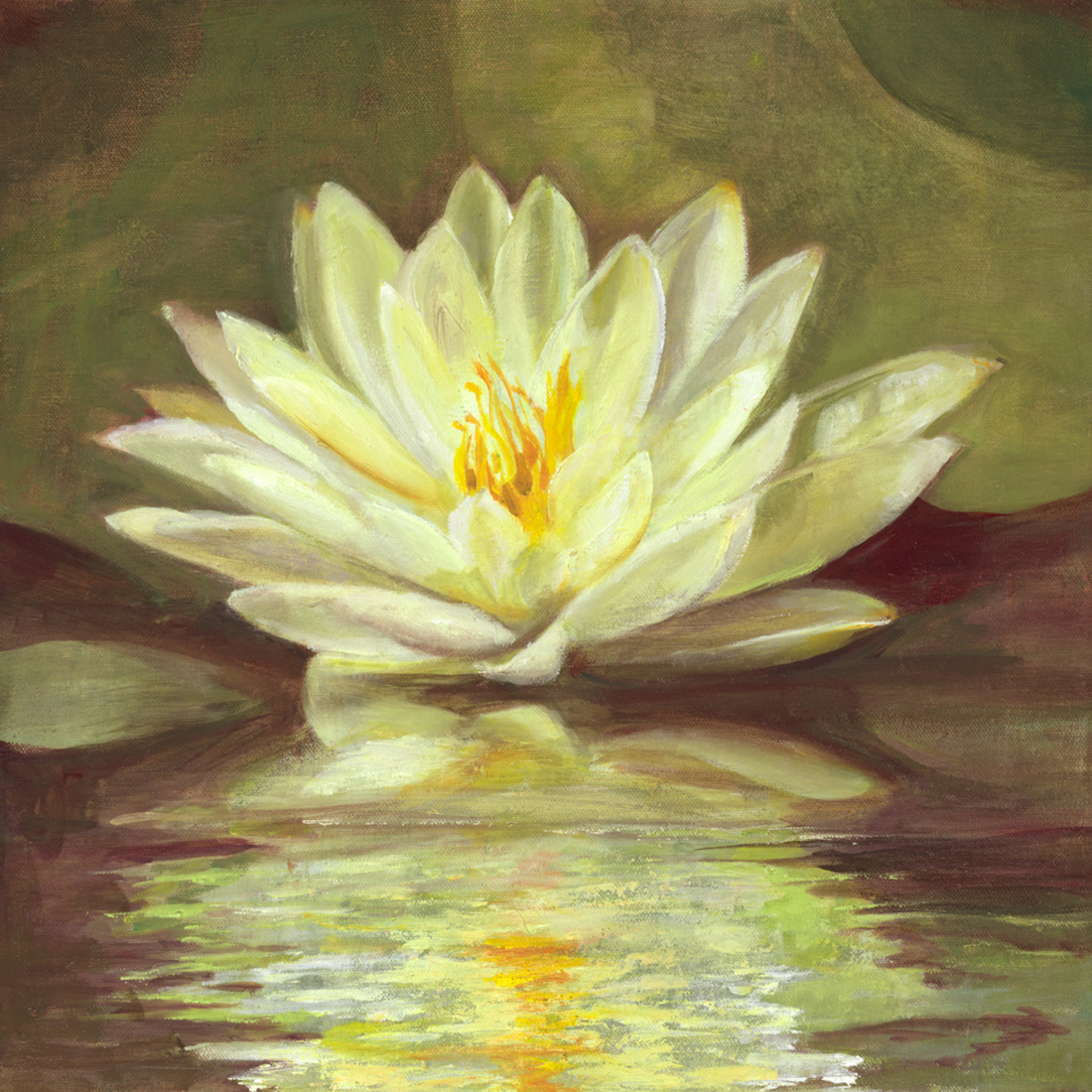 Wild Water Lily, Oil on canvas, framed 43 x 43 cm