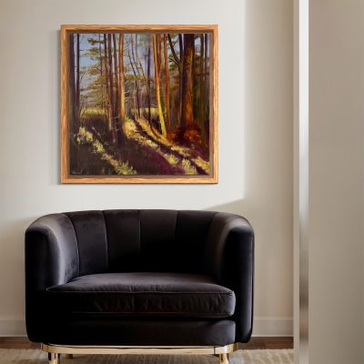 Scotch Pines in dappled light